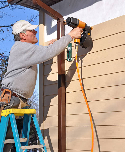 Best Vinyl Siding Installation  in Kirkwood, MO